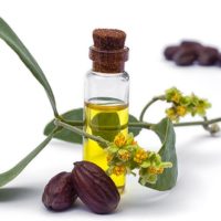 jojoba-oil